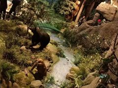 -陕西自然博物馆