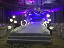 -M'S BANQUET AND SPACE ART