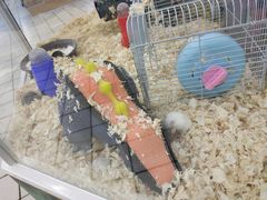 -欧尚超市苏州店停车场(金鸡湖路店)