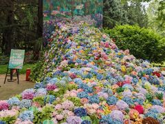 -上海共青森林公园