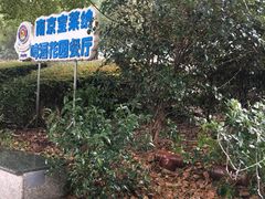 -宝莱纳啤酒花园餐厅PAULANER BRAUHAUS Nanjing(广州路店)