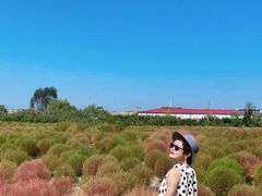 -映月湖中央公园