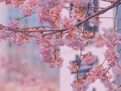 -静安雕塑公园