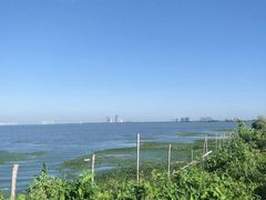 -滆湖低碳生态公园