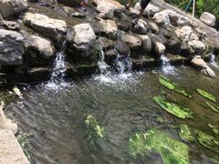 -白水寺森林公园