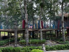 -南宫五洲植物乐园