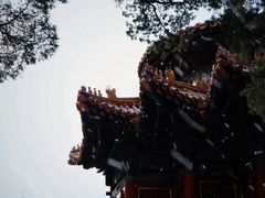-故宫博物院(故宫)