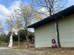 -天适樱花悠乐园