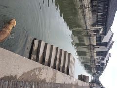 iphone_upload_pic-状元楼(东大街店)