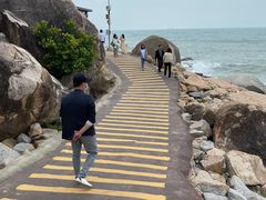 -广东惠东海龟国家级自然保护区