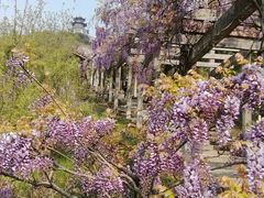 -缥缈峰景区