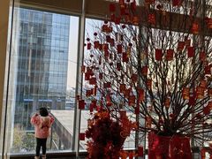 -深圳国际会展中心希尔顿酒店(前海华发冰雪世界店)