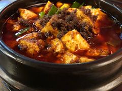 -陈麻婆豆腐总店