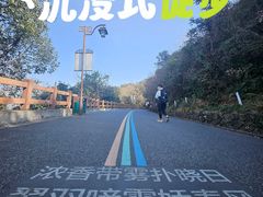 -杭州半山国家森林公园