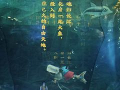 -重庆国际马戏城