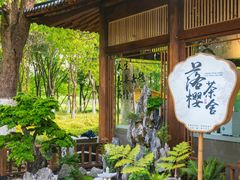 -长田漾湿地公园
