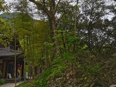 -五泄景区