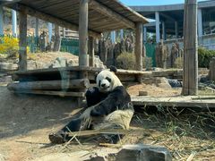 -大连森林动物园