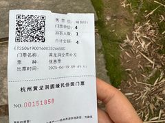 -杭州黄龙洞