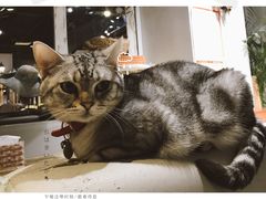 -小时光咖啡馆(开森度假森林店)