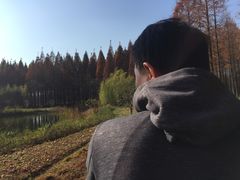 -黄海国家森林公园