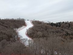 -东北亚滑雪场