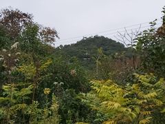 -宁波市保国寺古建筑博物馆