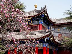 -西安市广仁寺
