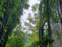 -世间香境·七溪地