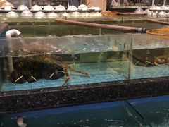 -国惠大酒楼(爱琴海购物公园店)