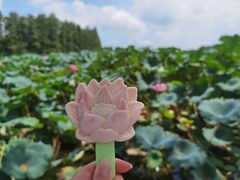 -东湖听涛景区