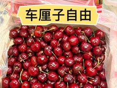 -盒马鲜生(岭南新世界店)
