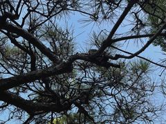 -华雅花园大酒店