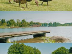 -上海辰山植物园