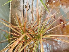 -森野花艺培训·企业团建活动沙龙