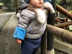 -凤栖山