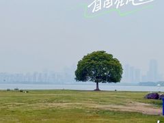 -棒约翰比萨·意面(独墅湖店)