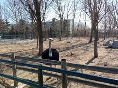 -大连森林动物园