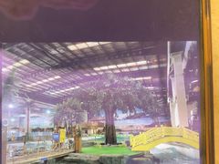 -南宫温泉水世界