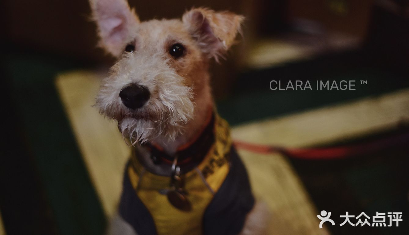 北京咖啡店|舒服如朋友家的客厅