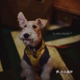 北京咖啡店|舒服如朋友家的客厅