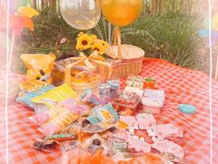 -桤木河湿地公园