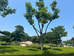 -悦海公园