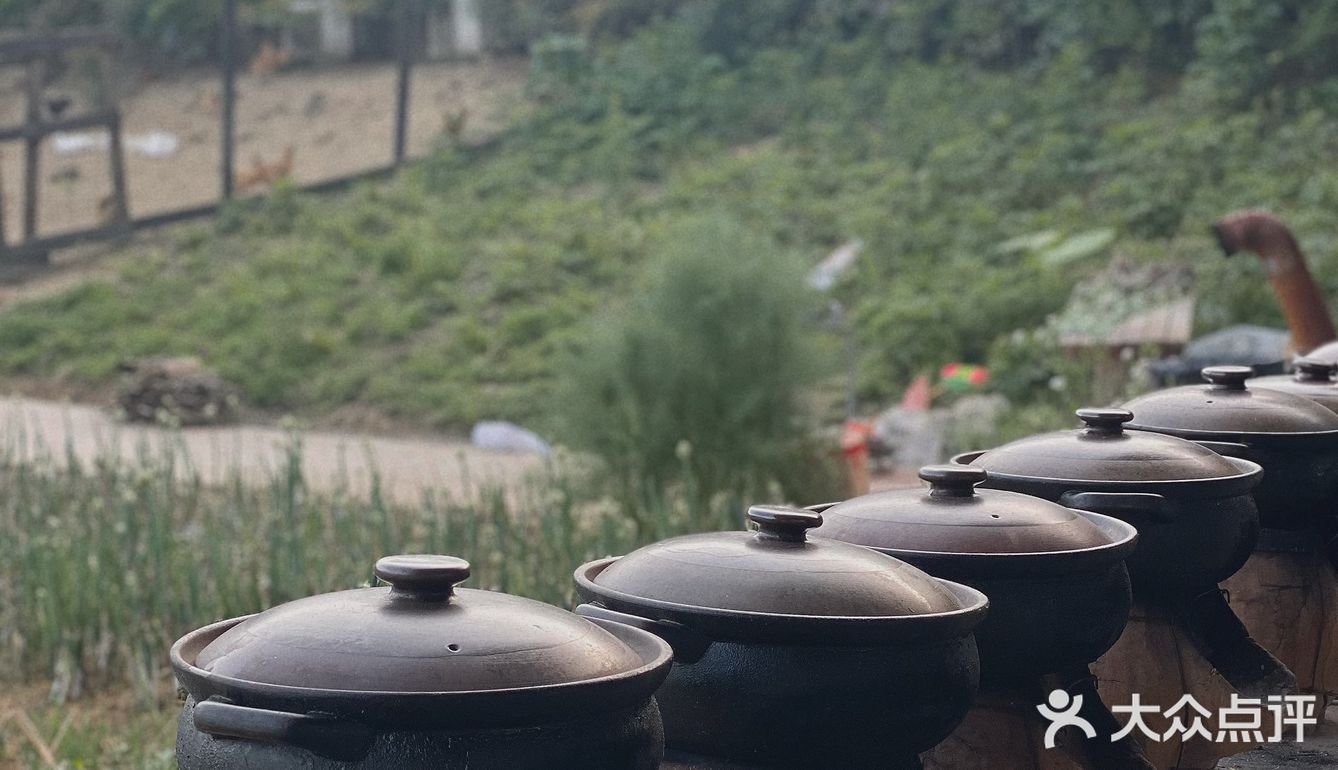 向往的生活｜吃喝玩乐一条龙