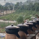 向往的生活｜吃喝玩乐一条龙