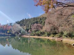 -蝴蝶泉公园