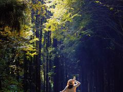 -山王坪喀斯特国家生态公园