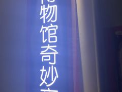 -Xcape异时刻密室逃脱魔法互动(瑞虹天地太阳宫店)