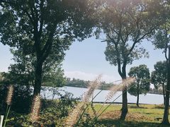 -海宁鹃湖公园