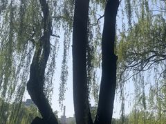 -WhaleSports户外水上运动俱乐部(朝阳公园店)